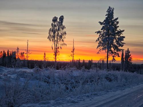 Hotellet i Jörn AB (Hotellet i Jorn AB) in 스반셀레