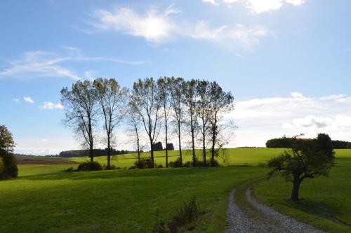 Landluft Ferien - Wohnung Abendrot