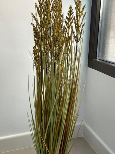 Fantástico apartamento Trajano Parking gratuito Fantástico apartamento Trajano Parking gratuito