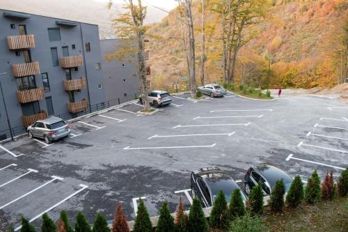 Viesnīcas āriene, The Royal Pine Apartment Mavrovo in Mavrovo