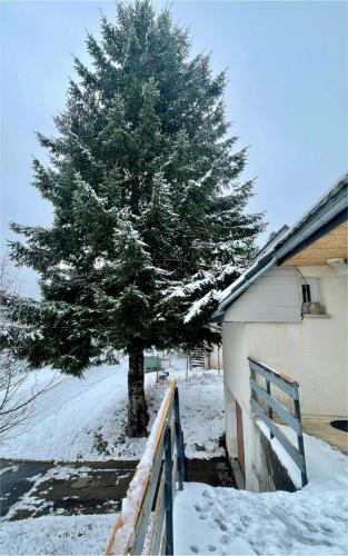 Villa Darendelle avec vue panoramique sur le Massif du Sancy - Location saisonnière - Murat-le-Quaire