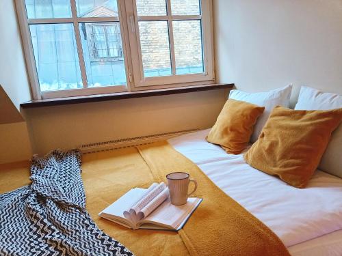 Old Town Spacious Loft nearby the Livu square, Riga (foto 8)