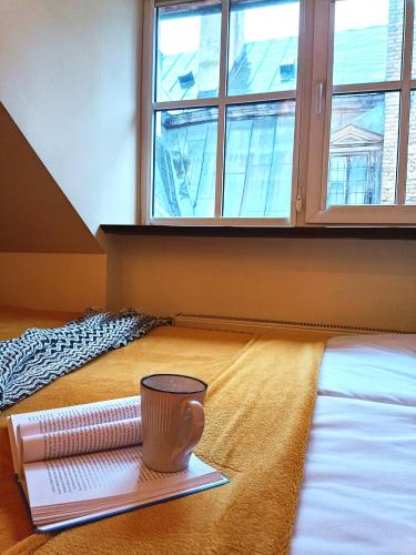 Old Town Spacious Loft nearby the Livu square, Riga (foto 6)