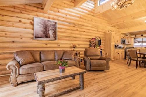 Big Bear Owls Nest with spa - Ski-In Ski-Out in Big Bear Lake, USA