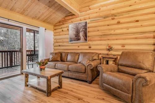 Big Bear Owls Nest with spa - Ski-In Ski-Out in Big Bear Lake, USA