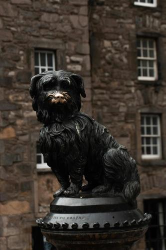 Greyfriars Studio Edinburgh, Edinburgh (photo 6)
