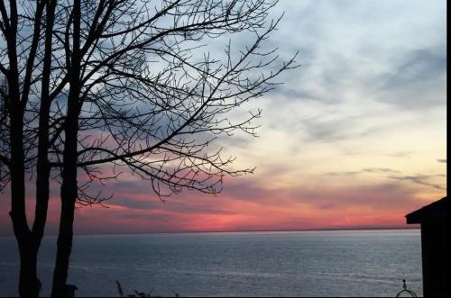 . Lakeshore Bliss Retreat