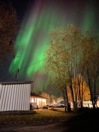 . Sentral og romslig leilighet nært Senja