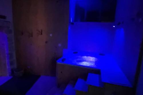 Gite le 159 avec sauna et jacuzzi - Location, gîte - Vesseaux