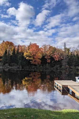 Dog friendly Muskoka. Fun from forest to river.