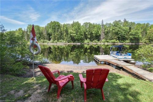 Dog friendly Muskoka. Fun from forest to river.