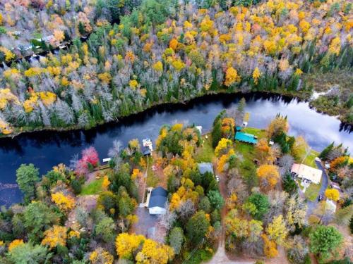 Dog friendly Muskoka. Fun from forest to river.