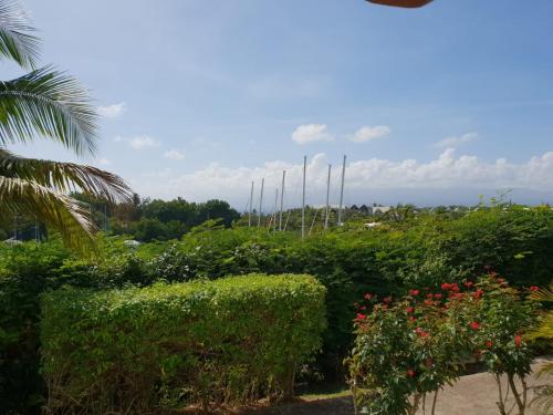 RAVISSANT Studio MARINA GOSIER in Pointe-a-Pitre