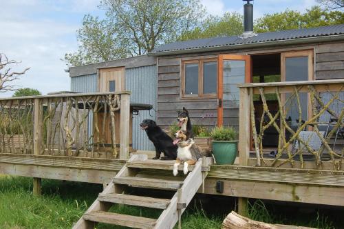 River Meadow Retreat in Culmstock