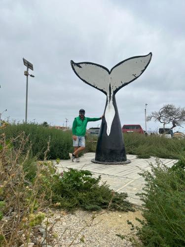 Punta de choros Cabañas bahia carrizalillo