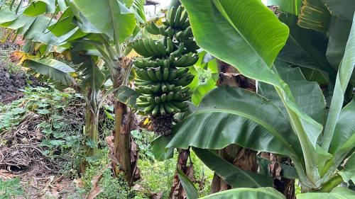 Casa La Oliva Casa La Oliva