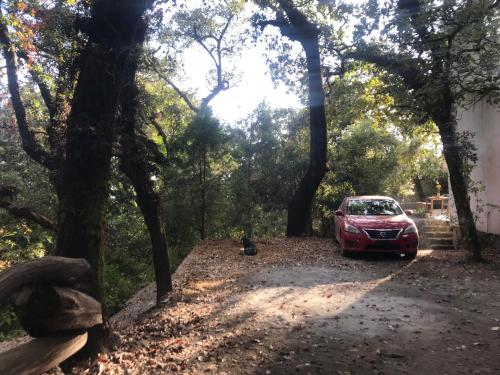 A környék, La Cabaña Amarilla al fondo del bosque de Tepoztlán (La Cabana Amarilla al fondo del bosque de Tepoztlan) in San Pedro