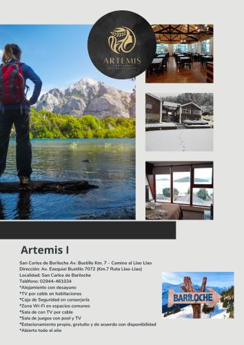 Artemis I - BRC
