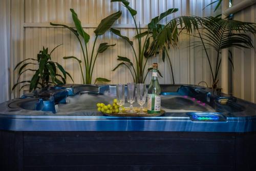 The Garden Pool and Spa house ocean views in Seacliff