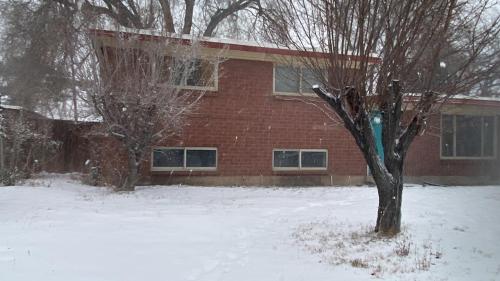 Red Pine - West Valley City, UT