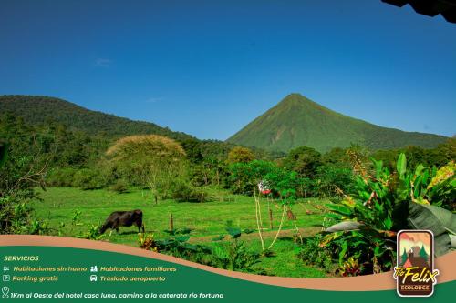 Tío Felix Eco Lodge, Fortuna