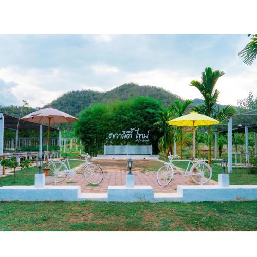 Közeli látványosságok, 22 négyzetméteres, 1 hálószobás Ház 1 fürdőszobával Palau területén (Quality Time Farmstay: Yard house #4) in Palau