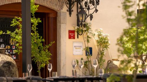 B&B Zigante - image 10