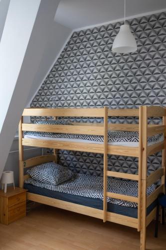 Hostel Universus - image 11