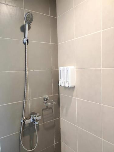 The Palladium The Palladium