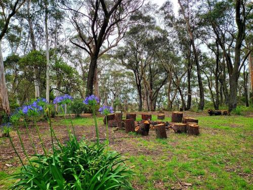 The Yellow Koala - Vibrant Home in Medlow Bath in Medlow Bath