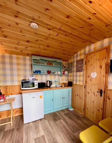 Shepherds hut Greencastle in Rousky