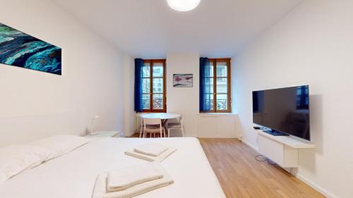 Modern studio in the heart of Geneva, Genewa (zdjęcie 8)