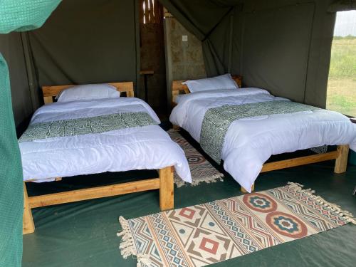 Amboseli Discovery Camp