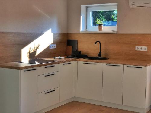 virtuve, KuPihenő Apartman Kunfehértó (KuPiheno Apartman Kunfeherto) in Kunfehértó