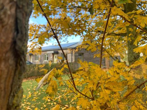 Chestnut Cottage at Gravel Farm in Stretham