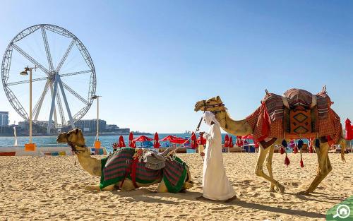 Royal Oceanic in JBR by HAPPY SEASON - image 2