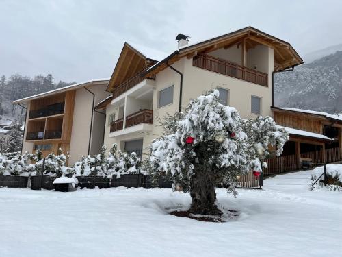 Egarter, Eppan an der Weinstraße (Foto 2)
