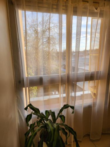 One-Bedroom Apartment image 3