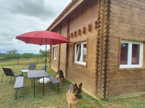 Chalet avec un grand jardin clos.