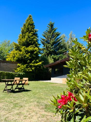 Las Vinas Hostel Boutique in San Carlos de Bariloche