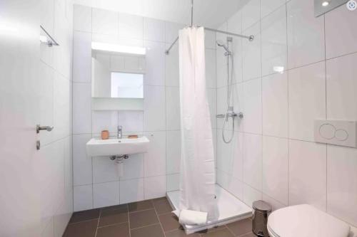  Spacious One-Bedroom Apartment - 446000 in Freiburg im Üechtland