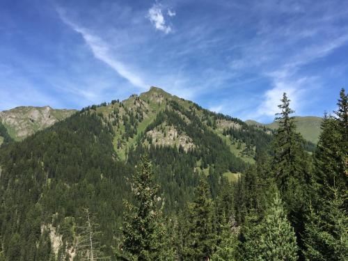 Apart Alpengluh´n in 施皮斯