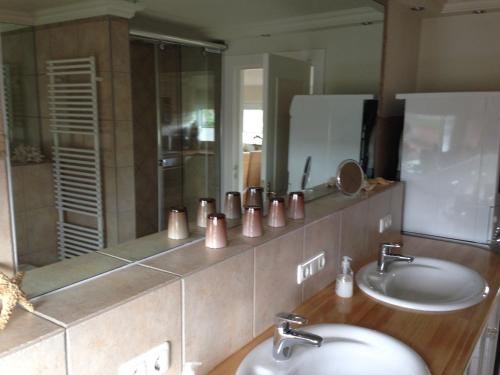 Lichtis Hues - image 2