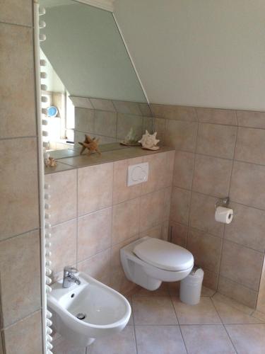 Lichtis Hues - image 13