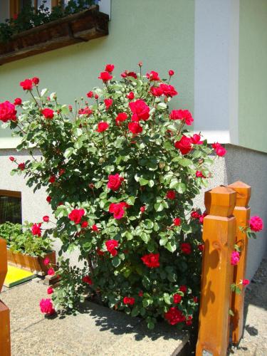 Gruberbauer Remsach