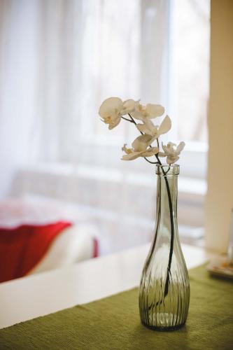 Prime Location Stylish Flats - image 3