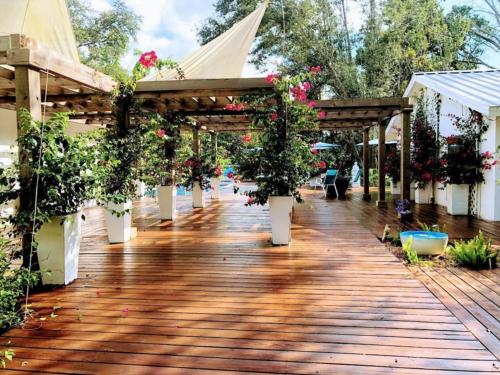 Orchid Estate #2 - image 10