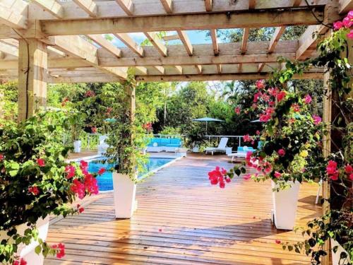 Orchid Estate #1 - image 3