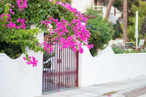 Seaview Apartment - Poros Relaxing Beachfront Flat