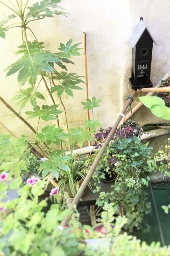 Hotel La Marine Vieux Port - image 14